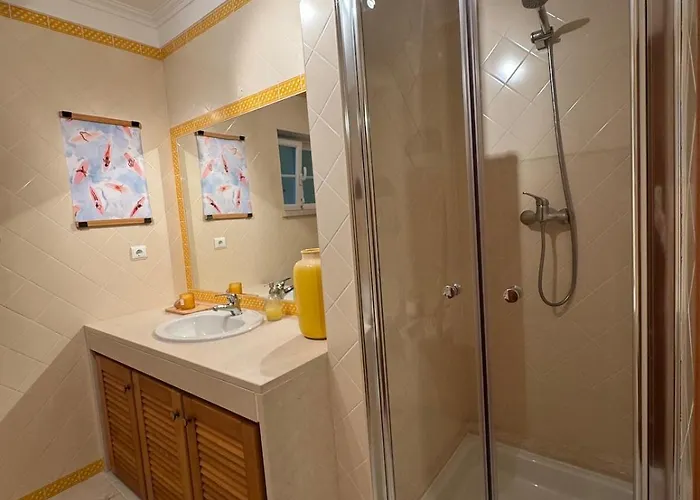 Burgo D Manuel Pinhal 14 *